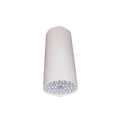 ĐÈN LED CHIẾU SÂU GẮN NỔI TRANG TRÍ 3W (DIB2033)