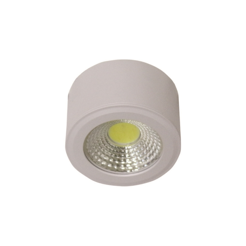 Đèn led gắn nổi trang trí 3W