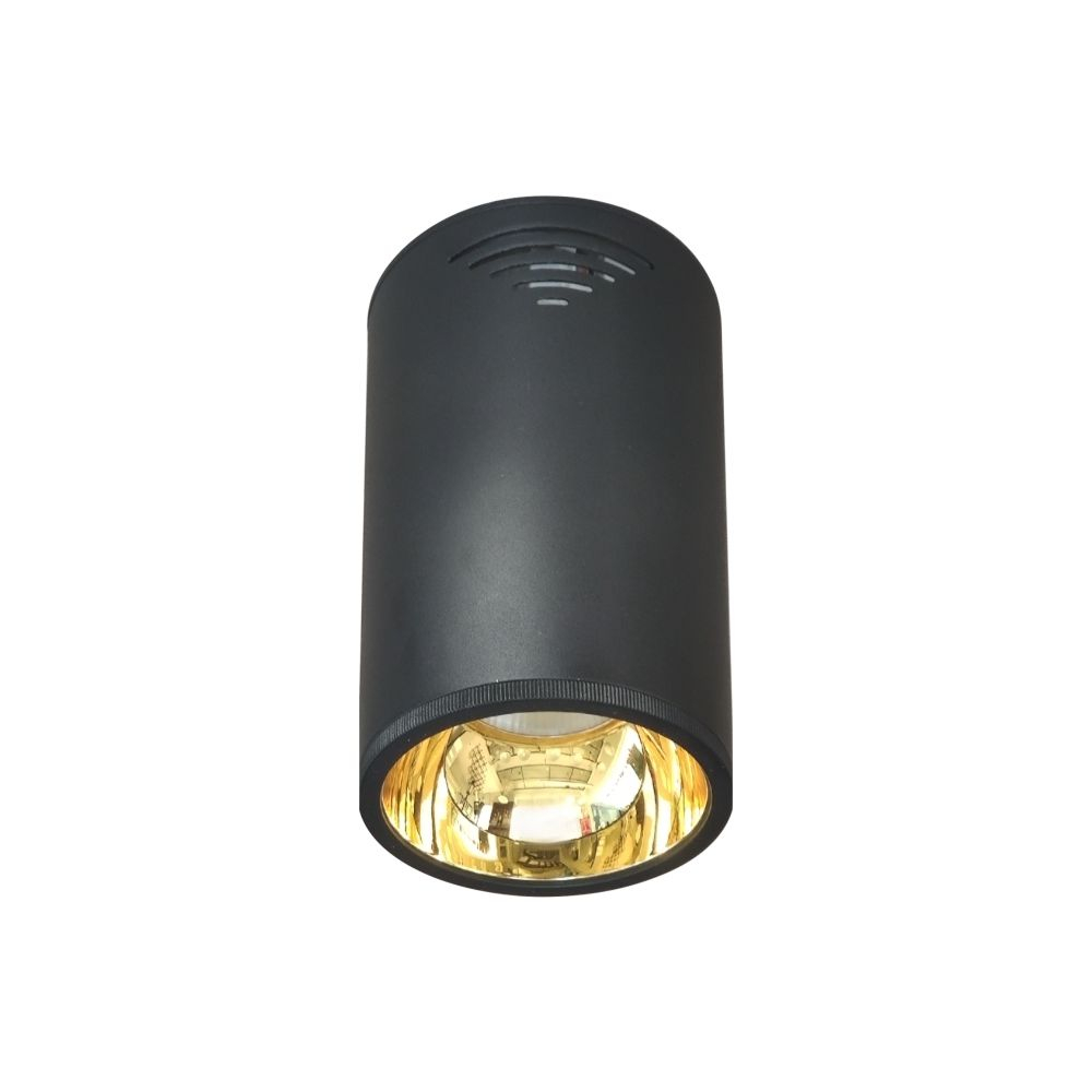 Đèn led chiếu sâu gắn nổi trang trí 10W