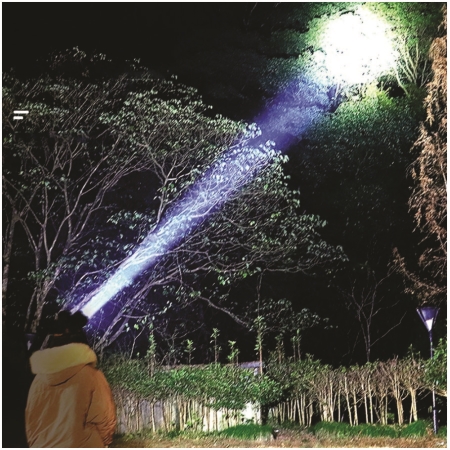 ĐÈN PIN ĐỘI ĐẦU (DSE107)
