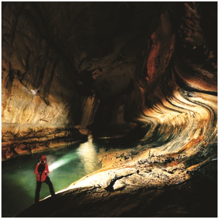 ĐÈN PIN LED 12W (DSE111)