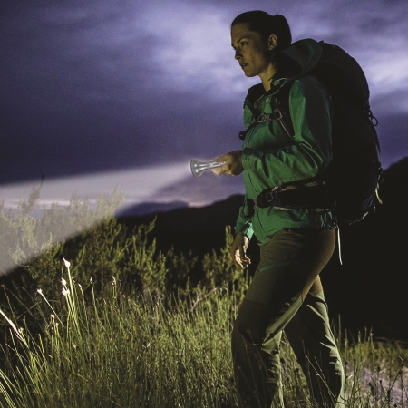 ĐÈN PIN LED (DSE109)