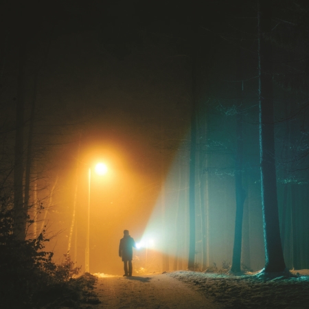 ĐÈN PIN LED (DSE110)