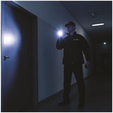 ĐÈN PIN LED (DSE110)